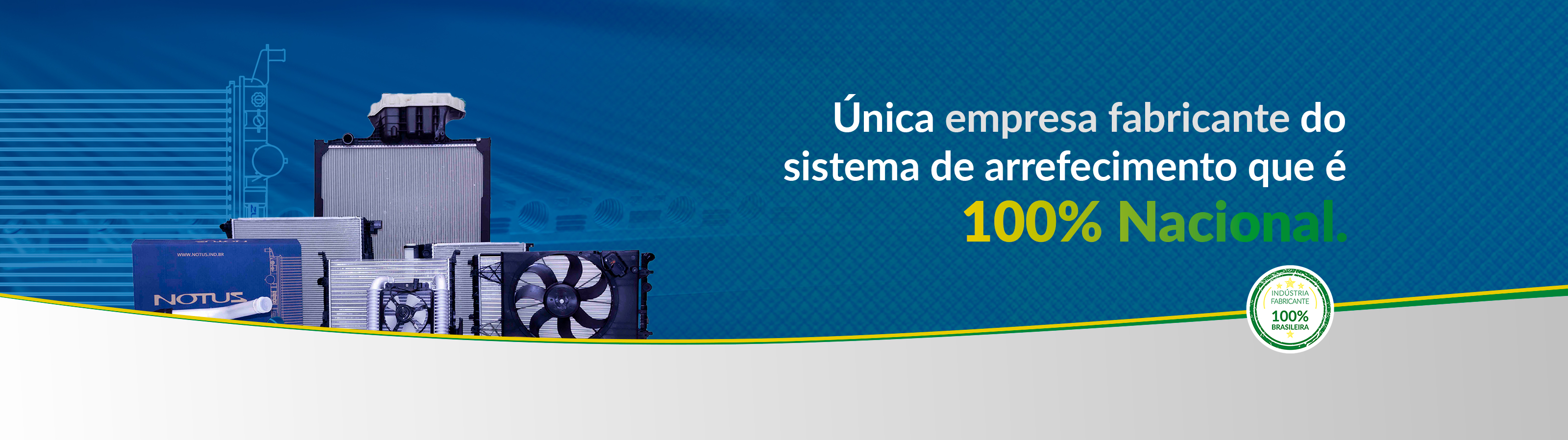 Aniversario Notus